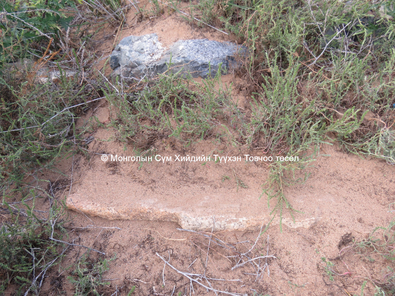 Possible edging stone